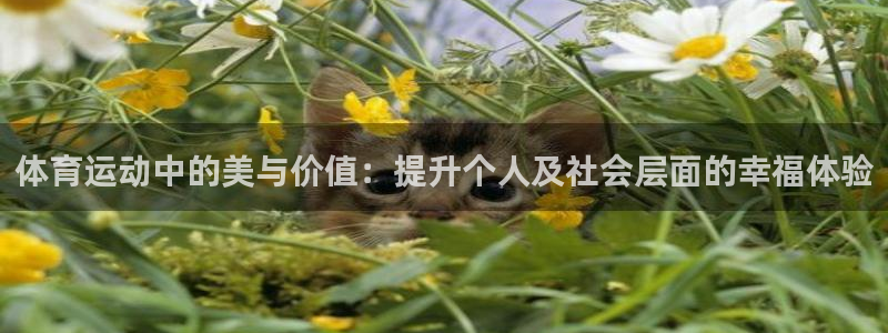 678体育官网下载