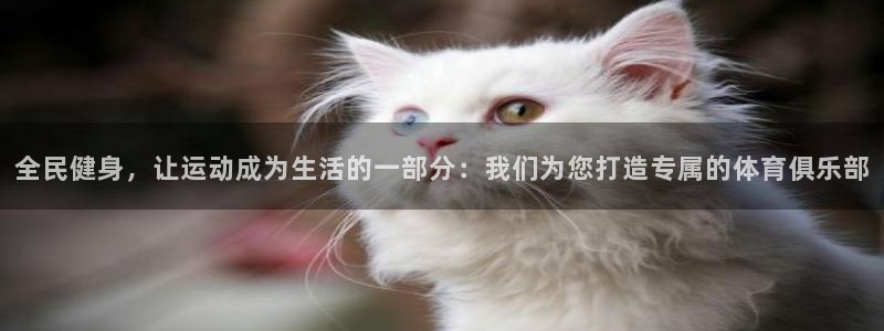 678体育官网地址