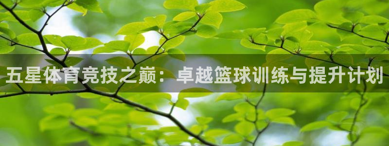 678体育官网