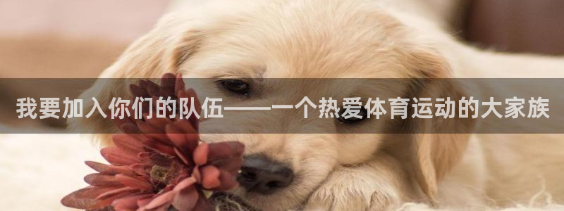 678体育：我要加入你们的队伍——一个热爱体育运动的大家族