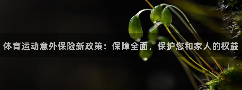 678体育官网下载：体育运动意外保险新政策：保障全面，保护您和家人的权益