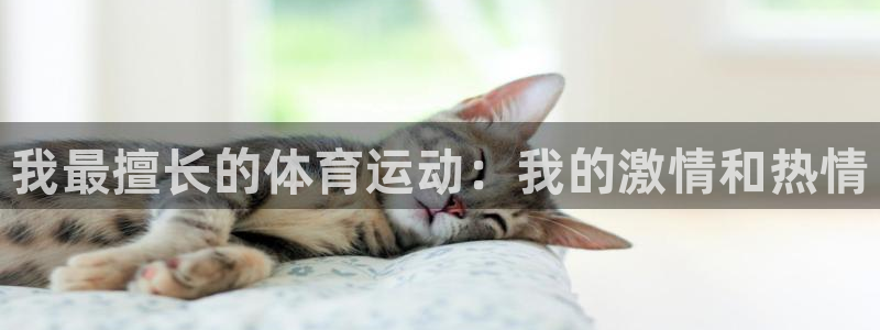 678体育官网：我最擅长的体育运动：我的激情和热情