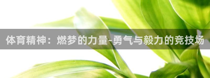 678体育app