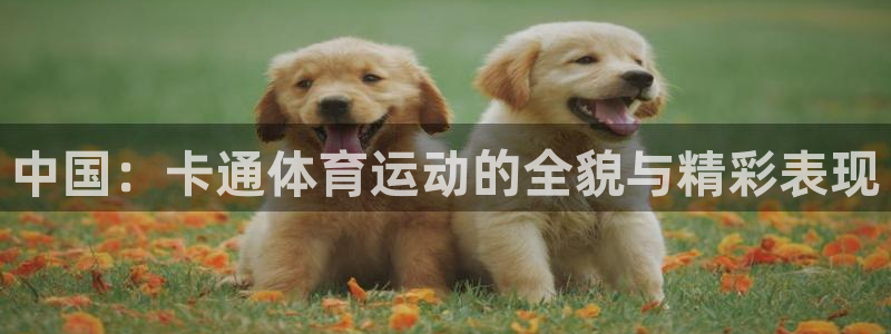 678体育app：中国：卡通体育运动的全貌与精彩表现