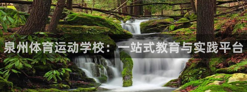 678体育官网
