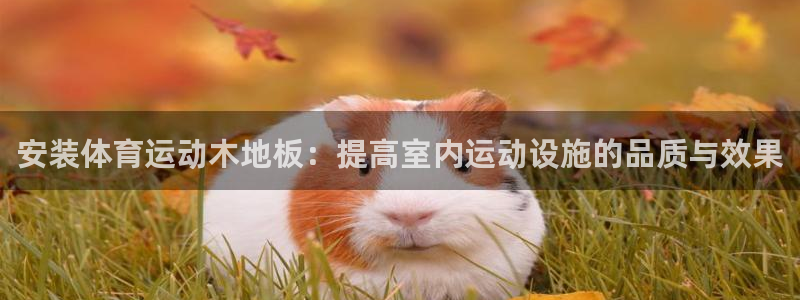 678体育知识