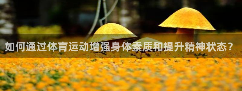678体育官网下载