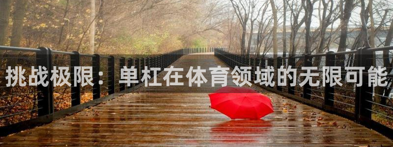 678体育官网：挑战极限：单杠在体育领域的无限可能
