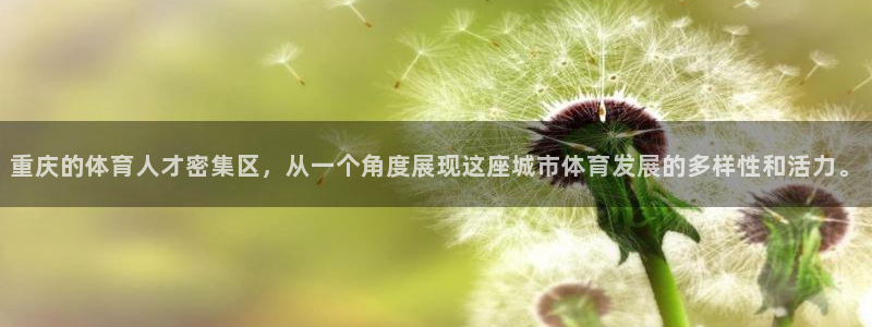 678体育官网下载：重庆的体育人才密集区，从一个角度展现这座城市体育发展的多样性和活力。